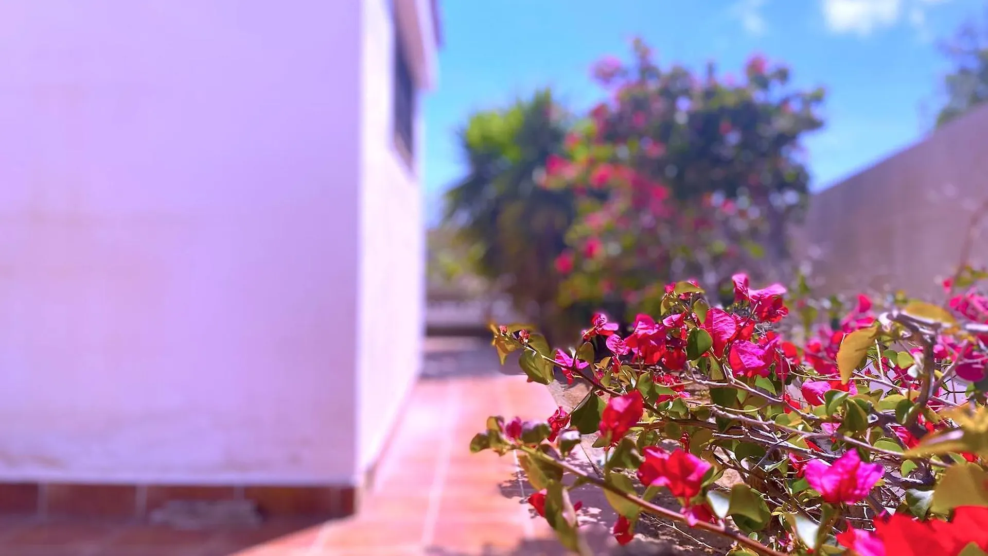 Holiday home Tropicalidays Atlantic Hideaway Costa Del Silencio Villa