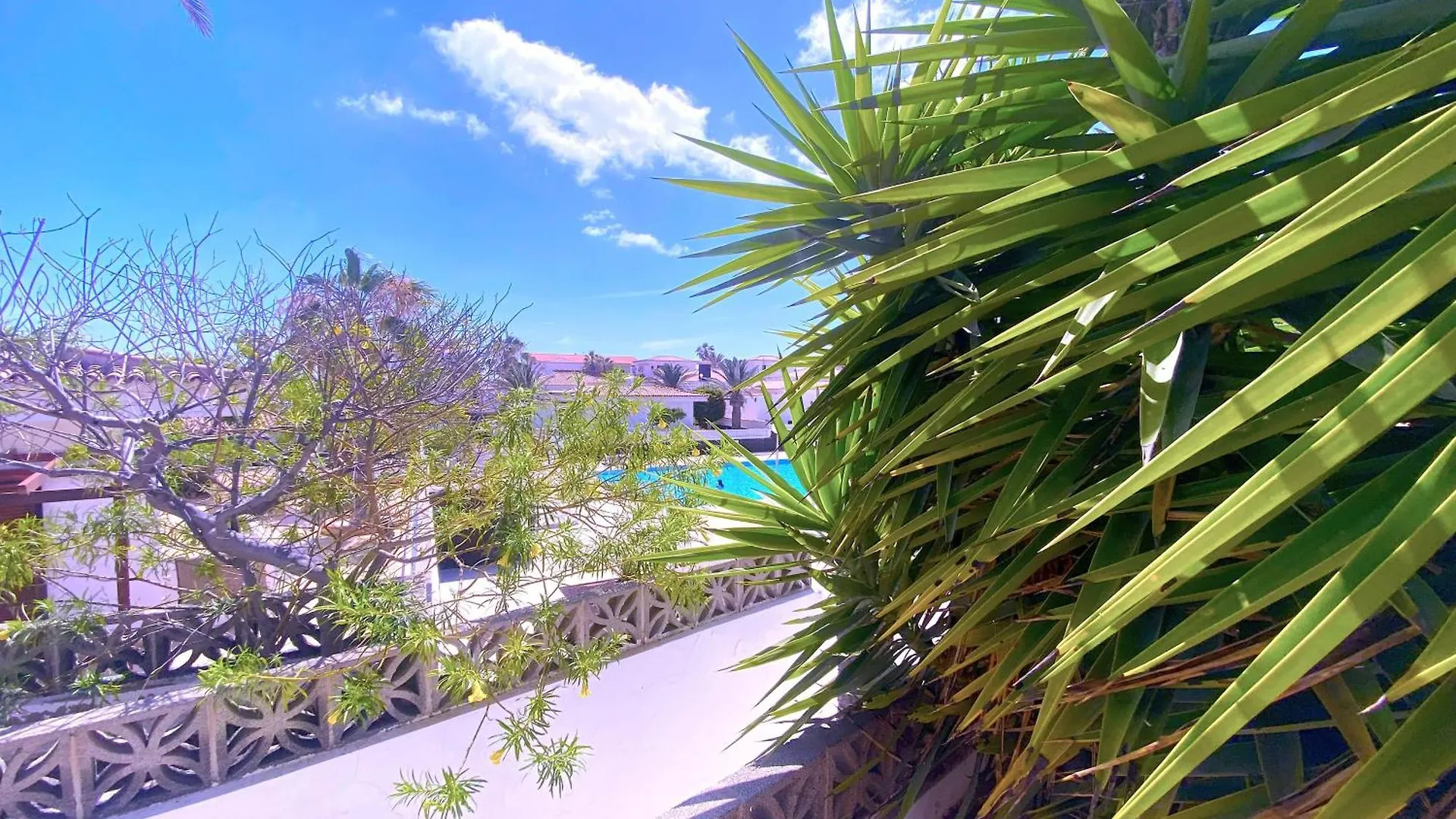 Tropicalidays Atlantic Hideaway Costa Del Silencio Villa Semesterbostad